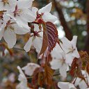 ���� ����, �����-���������, 57 ��� - ��������� 1 ��� 2014 � ������ �� �����