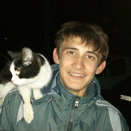 , 31 , 