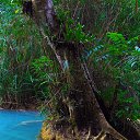 ������� ������� � ����� �� ������� �����