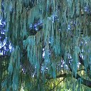 ���� ������, ������, 64 ���� - ��������� 13 ������� 2014 � ������ ���� ����� �������