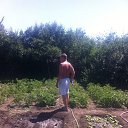 ���� ���������, ��������, 65 ��� - ��������� 15 ���� 2014 � ������ ���� ����������