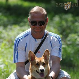 ����, �����-���������, 60 ���