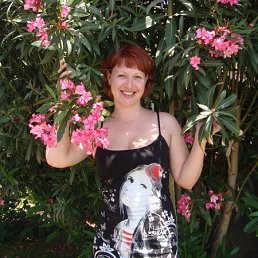 ���, ����, 48 ���