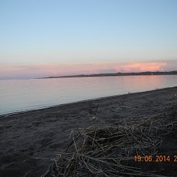 ������ 2014