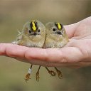 ���� �������, ������������, 57 ��� - ��������� 25 ��� 2014 � ������ ������ ��������