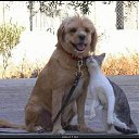 ���� �����, �������, 56 ��� - ��������� 30 ����� 2014 � ������ ���� ����������