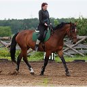 ���� �������, �����-���������, 48 ��� - ��������� 15 ���� 2014 � ������ ���� ����������