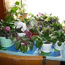 ���� ������ ��������, �������� - ��������� 17 ���� 2014 � ������ ���� ����������