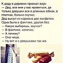 ���� Van, ��������, 42 ���� - ��������� 28 ���� 2014 � ������ ������ ��������
