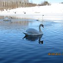 ������� ������������� ����� �� ������� �����������