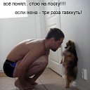 ���� �����������, ������, 64 ���� - ��������� 3 ������� 2014 � ������ ������ ��������