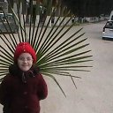 ���������� ��������� �� ������� ���� ����������