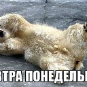 ���� �������, �����-���������, 43 ���� - ��������� 13 ������ 2014 � ������ ������ ��������