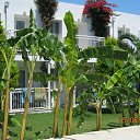 ���� ������, ������� - ��������� 29 ���� 2014 � ������ ������� �����̻