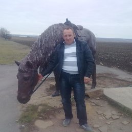 ������, �������������, 55 ���