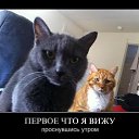 ���� ���������, ��������, 69 ��� - ��������� 30 ���� 2014 � ������ ������ ��������