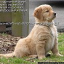  Marina,  -  19  2014    