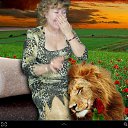 ���� �������, ���� - ��������� 26 ��� 2014