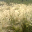 ��� ������� ������))))) �� ������� ���� ����������