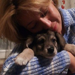 ***Zinat, ������, 51 ���