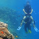 ���� ���������� ��������, ���������� �����, 57 ��� - ��������� 21 ����� 2014 � ������ ���� ����������