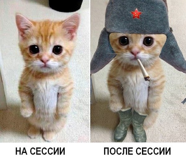 ��Ѩ��� �������