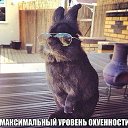 ���� ����, ����������, 47 ��� - ��������� 30 ������ 2014 � ������ ������ ��������