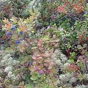 ���� ������, ���������, 58 ��� - ��������� 11 ������� 2014 � ������ ���� ����������