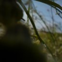 ���� �����, ������� - ��������� 18 ������� 2014 � ������ �17.08.2014�.�