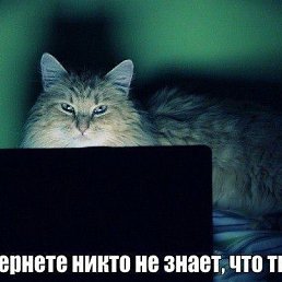 ����, ��������, 25 ���