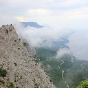 ���� ��������, �����������, 49 ��� - ��������� 16 ���� 2014 � ������ ���� ����������