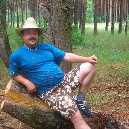 �����, �������, 61 ���