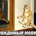 ���� �����, ������, 40 ��� - ��������� 10 ���� 2014 � ������ ������ ��������