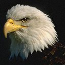 ���� ��������, ��������, 70 ��� - ��������� 25 ���� 2014 � ������ ������