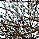 ���� ������� �., ����� - ��������� 5 ������ 2014 � ������ ������