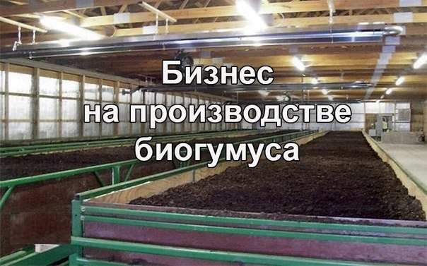 Производство биогумуса бизнес план