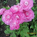  ,  -  26  2014     .