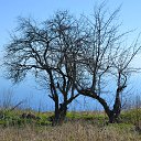 ���� ����������, ������� ��������, 63 ���� - ��������� 7 ���� 2014 � ������ �������