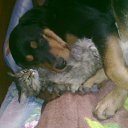 ���� �������, ����-���, 59 ��� - ��������� 5 ��� 2014 � ������ ���� ����������