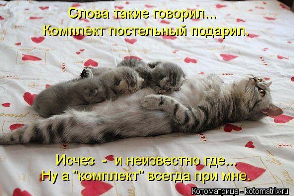 Alex Linadherent - 16  2014  13:53