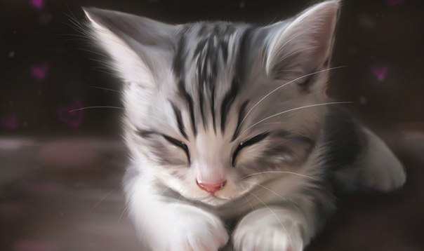 Наши любимцы :3 - 20 августа 2014 в 10:43