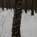 ���� ��������, ��������, 57 ��� - ��������� 24 ����� 2014 � ������ ������� ���2014�