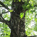 ���� ������, ������ - ��������� 14 ���� 2014 � ������ ����� 2014�