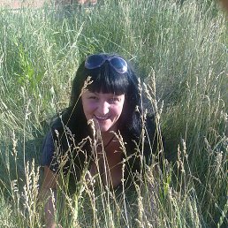 �����, ���������, 52 ����