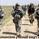 ���� ������, ������ ��������, 51 ��� - ��������� 25 ��� 2014 � ������ ������ ��������