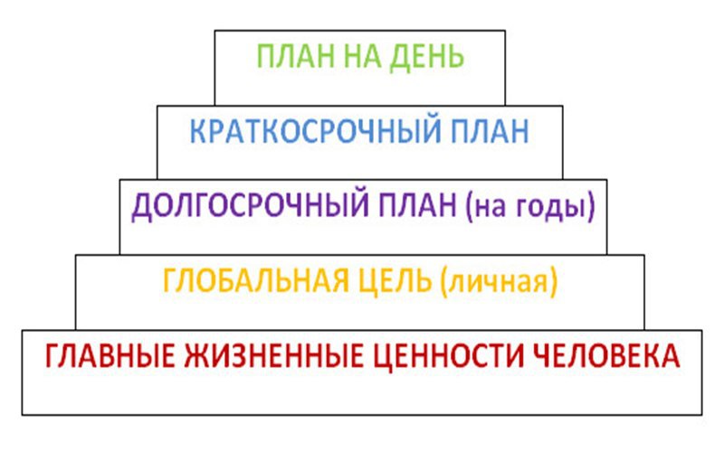 План жизни на 100 лет