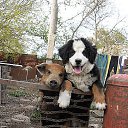 ���� �����, ����, 57 ��� - ��������� 3 ��� 2014 � ������ ������ ��������