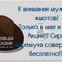 ���� ����, �����-��������� - ��������� 23 ������ 2014 � ������ ������ ��������