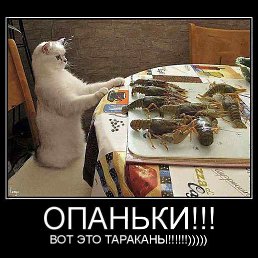 ���� Seat, ���������, 56 ��� - ��������� 10 ������ 2014