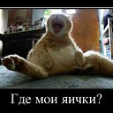���� �.�., �����������, 61 ��� - ��������� 29 ����� 2014 � ������ ���� ���������߻